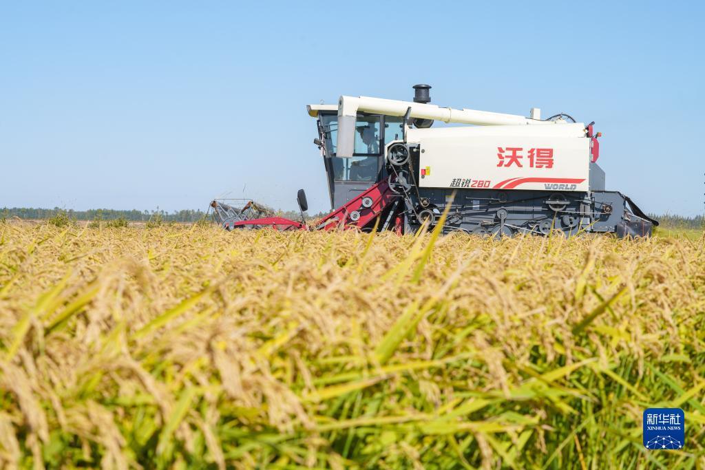 新天地游戏加微信送分
